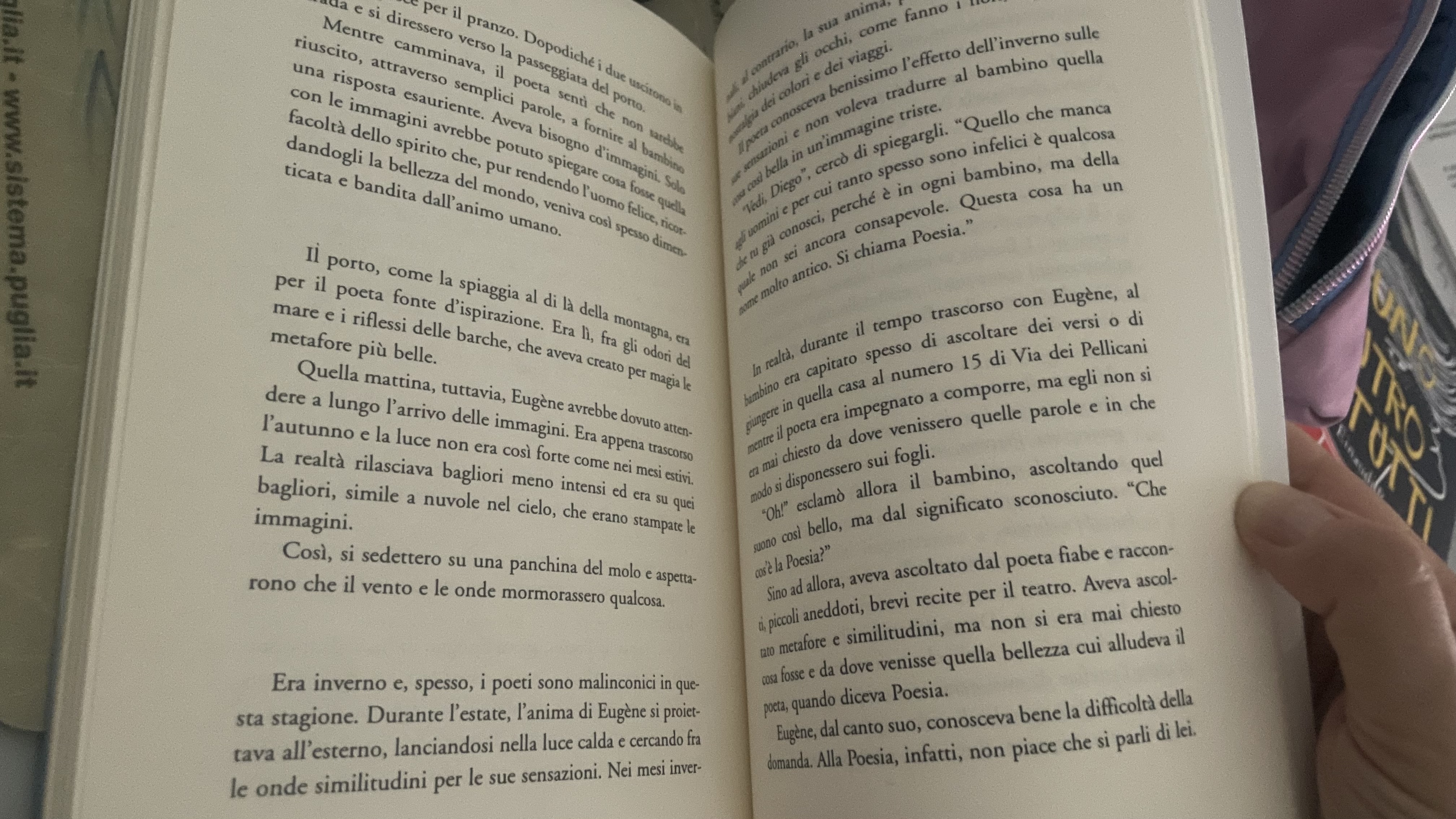Foto 3